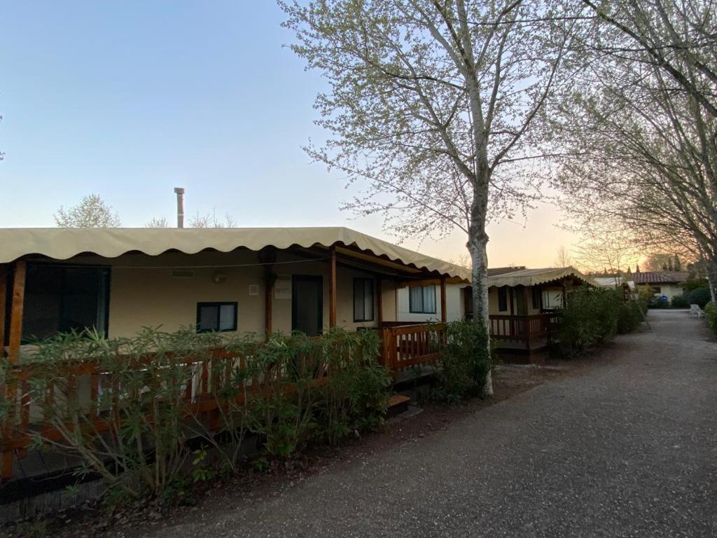 Zona Rosa 5 Chalet Mit Klimaanlage Und Wlan 维亚雷焦 外观 照片