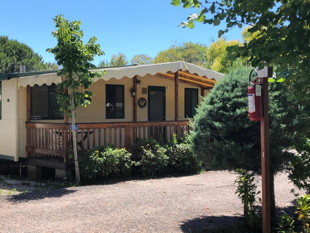 Zona Rosa 5 Chalet Mit Klimaanlage Und Wlan 维亚雷焦 外观 照片